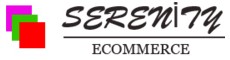 Ser Ecommerce